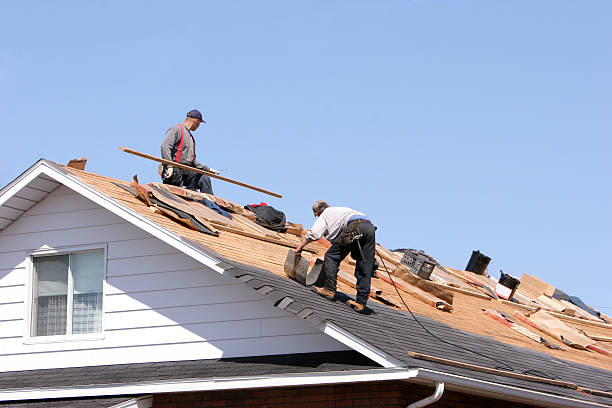 Best Gutter Installation and Repair  in Trucksville, PA